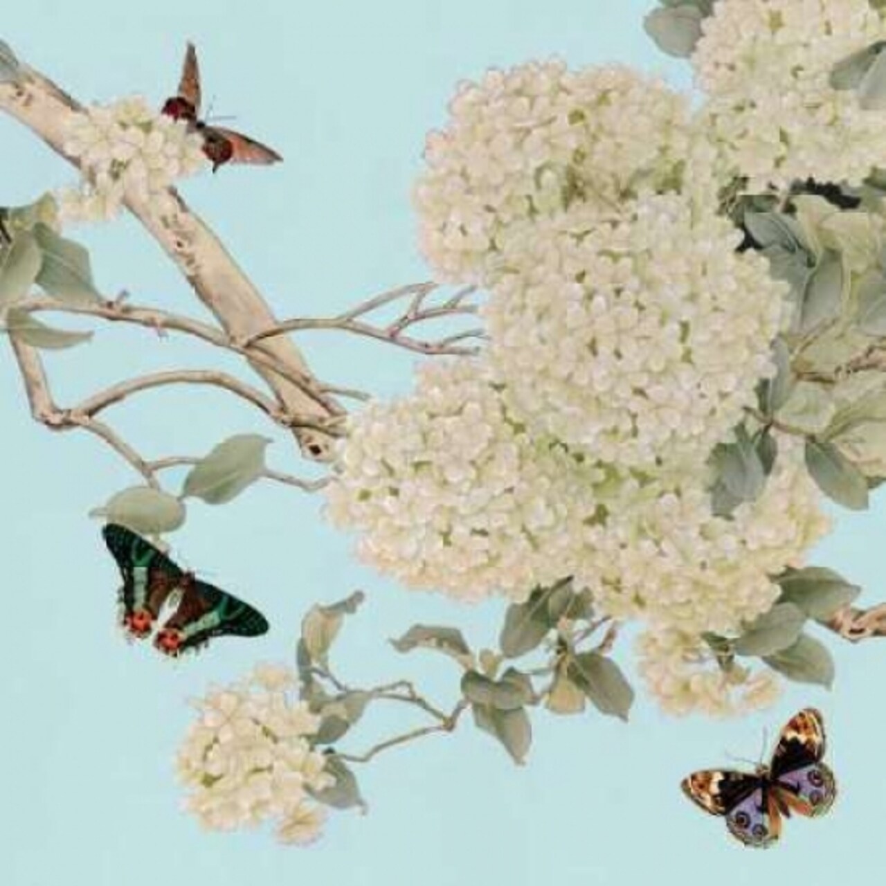 Endless Summer II Poster Print by Liu Chang - Item # VARPDXCC3158